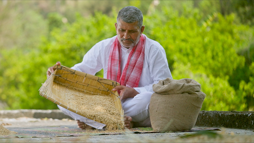 Sukhdev Singh - Farmer